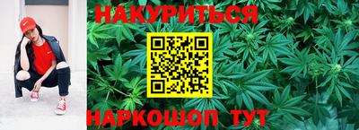гашик Тара