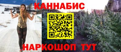 гашик Тара