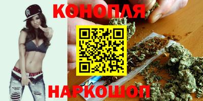 индика Ставрополь