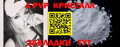 индика Ставрополь