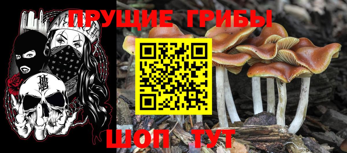 Галлюциногенные грибы мицелий Нижний Тагил